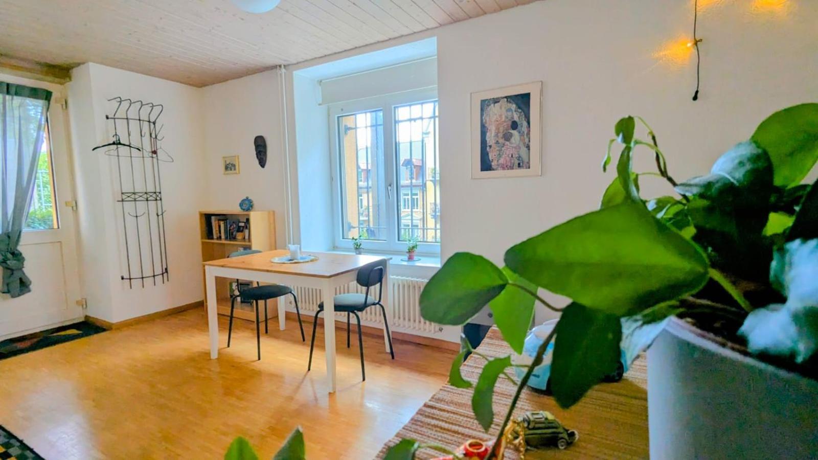 취리히 Urban Retreat - Cozy Studio With Private Patio 아파트 외부 사진